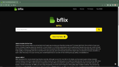 Bflix.io: Everything You Need To Know