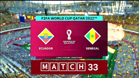 ecuador national football team vs senegal national football team standings