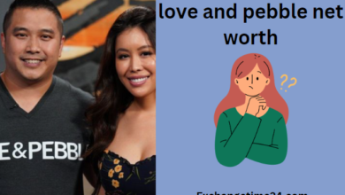 Love And Pebble Net Worth