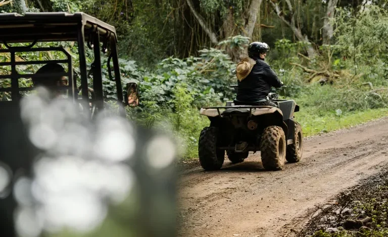 All-Terrain Adventures in the True North: A Comprehensive Guide to Choosing Your ATV in Canada