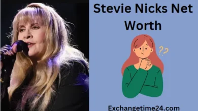 Stevie Nicks Net Worth: Fleetwood Mac's Golden Voice