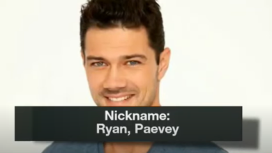 ryan paevey net worth